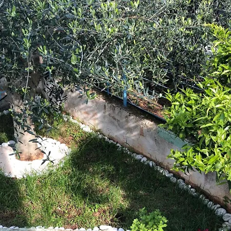 Elvis Caca Gasthuis Ksamil