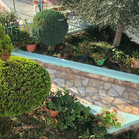 Gasthuis Elvis Caca 4*